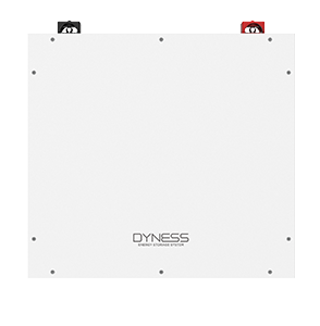Dyness DL5.0C Pro 5.12kWh 51.2V LiFePO4 Lithium Solar Battery
