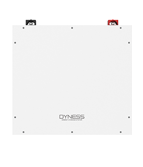Dyness DL5.0C Pro 5.12kWh 51.2V LiFePO4 Lithium Solar Battery